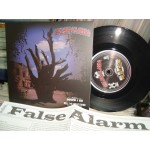 False Alarm ‎– Down I Go / Sell Me Something