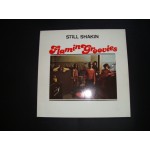 Flamin' Groovies - Still shakin