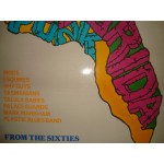 Florida Punk Groups / From the Sixties { Misc. }