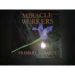 Miracle Workers - Primary Domain