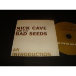 Nick Cave & The Bad Seeds - An Introduction