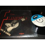 Pepe de Almeria / Flamenco Guitar