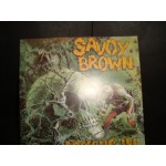 Savoy Brown - Looking in