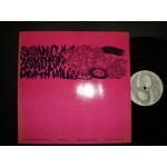 Sonic Youth - Death Valley '69