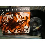 Survivor - Eye of the Tiger