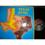 Texas Punk from the sixties / various