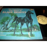 The Story of Black beauty - Camarata