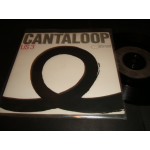 US3 - Cantaloop