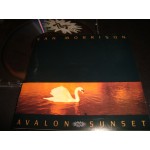 Van Morrison - Avalon Sunset